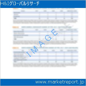 市場と産業調査レポートのイメージ